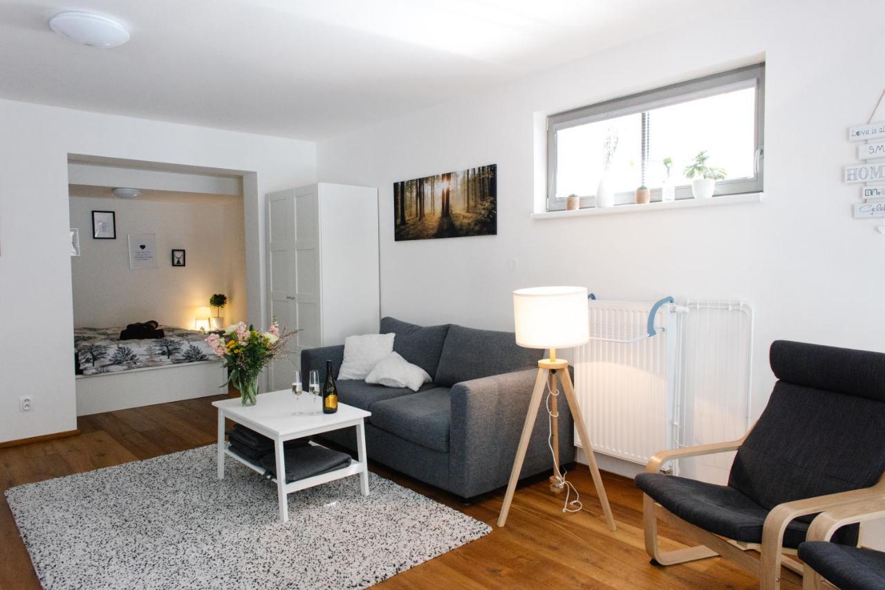 Apartman S Nadhernym Vyhledem V Centru Harrachova Eksteriør billede